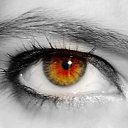 ���� Ai, ���������� �����, 29 ��� - ��������� 20 �������� 2012