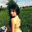  , -, 34  -  23  2011   PetLove