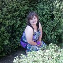 ���� �����, ������, 33 ���� - ��������� 9 ��� 2012 � ������ ���� ����������