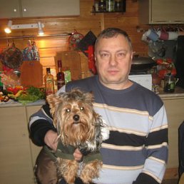 �����, ������, 65 ���