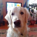 ���� ������, ������� ����, 22 ���� - ��������� 25 ���� 2013 � ������ ���� ����������