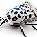 ���� **���� ������ �**, ������ - ��������� 20 ������� 2012 � ������ ���������