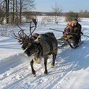 ���� �����, �������, 65 ��� - ��������� 4 �������� 2012 � ������ �������
