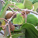 ���� �����, ������� - ��������� 12 ������ 2012 � ������ ���� ����������