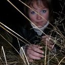 ���� �������, ������������, 46 ��� - ��������� 13 ����� 2013