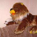 ���� �����, ��������, 48 ��� - ��������� 7 ������� 2011 � ������ �����