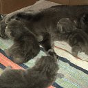 ���� ����_����� ������ ���� ���-��..., �������� - ��������� 28 ���� 2013 � ������ ������� � ��
