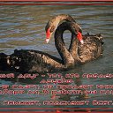 ���� ~��, ���...~, �������, 36 ��� - ��������� 6 ����� 2010 � ������ �.......�