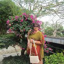 ���� �������, ��-������, 68 ��� - ��������� 11 ��� 2013 � ������ ���� ����������