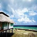 ���� �����, �������, 40 ��� - ��������� 26 ���� 2013 � ������ ������ � ������