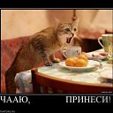 ���� ������, ������, 59 ��� - ��������� 17 ������� 2012 � ������ �������