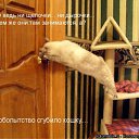 ���� ����, ����������� - ��������� 10 ������� 2010 � ������ ������� ���� �������) ����� 2�