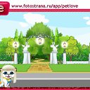 ���� ����, ������� - ��������� 10 �������� 2010 � ������ �PetLove�