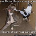 ���� Gnom, ���������, 39 ��� - ��������� 28 ������ 2010 � ������ �������� � ��������� ;-)�