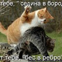 ���� ������, �����-��������� - ��������� 7 ���� 2011 � ������ ��������� �������