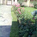 ���� ���������, ����, 65 ��� - ��������� 28 ���� 2012 � ������ �����