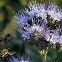 ���� ��������, �������, 58 ��� - ��������� 4 ������ 2011 � ������ ������ �� ���� �������