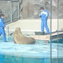 ���� ����, ������, 42 ���� - ��������� 10 ������� 2010 � ������ ���� �������