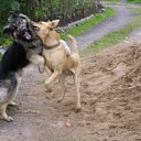 ���� �, �����-���������, 50 ��� - ��������� 9 �������� 2010 � ������ �������