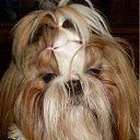 ���� ����, ���������, 52 ���� - ��������� 1 ������� 2011 � ������ �RoadKing�