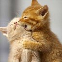 ���� ��� ����� :D, ����� - ��������� 2 ������� 2012 � ������ ���� ����������