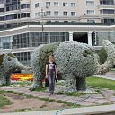 ���� �������, ������, 47 ��� - ��������� 12 ������� 2011 � ������ �������� � ������