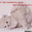 ���� ����, ����������� - ��������� 10 ������� 2010 � ������ ������� ���� �������) ����� 2�