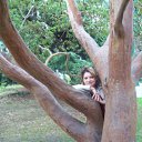 ���� �����, ���������, 57 ��� - ��������� 25 ������� 2010 � ������ ���� ����������