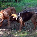 ���� �����, ������, 57 ��� - ��������� 9 ������� 2013 � ������ ���� ����������