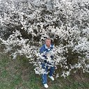 ���� ������, ����������, 68 ��� - ��������� 23 ���� 2013 � ������ ���� ����������