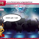 ���� ������, ��������� - ��������� 26 ������� 2010 � ������ �PetLove�