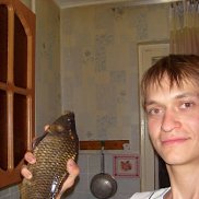 ������, 41 ���, ������