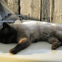 ���� ��������, ������������ - ��������� 16 ������� 2011 � ������ ���� ����������