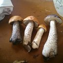  , --, 47  -  25  2013    