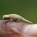 ���� ��������, ������ - ��������� 14 ������ 2011 � ������ ����������