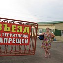 ���� ����� (Super Star), ����������, 44 ���� - ��������� 15 ����� 2013 � ������ ���� ����������