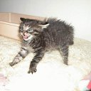 ����� ������ �� ������! �� ������� ���� ������� �����