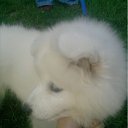 ���� Sergei, �����-���������, 48 ��� - ��������� 22 ������� 2012 � ������ �������