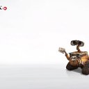 ���� ����, �����-���������, 35 ��� - ��������� 3 �������� 2011 � ������ ���� ����������