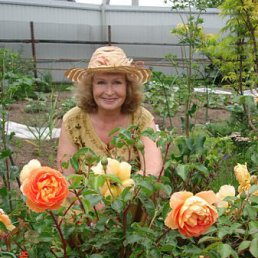 �������, ������, 80 ���