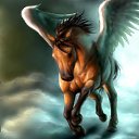 ���� "@����", �����-���������, 25 ��� - ��������� 26 ��� 2010 � ������ �������