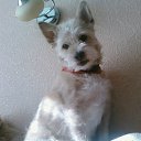 ���� ���, ������, 45 ��� - ��������� 20 ������ 2012 � ������ �������