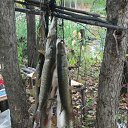  Sasha,  , 56  -  4  2012   