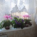 ���� Andrew, �����, 65 ��� - ��������� 12 ������� 2011