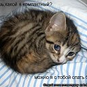 ���� �����, ������������ - ��������� 17 ���� 2010 � ������ ��������