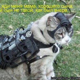 ���� �������, ����, 26 ��� - ��������� 23 ������� 2010