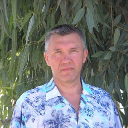 ������, ������, 55 ���