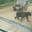 ���� �������, �����, 54 ���� - ��������� 15 ������� 2011 � ������ ���� ����������