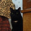 ��� ����) �� ������� ���� ���������