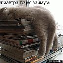 ���� ����, ������, 36 ��� - ��������� 27 ������ 2010 � ������ ������ � ������������